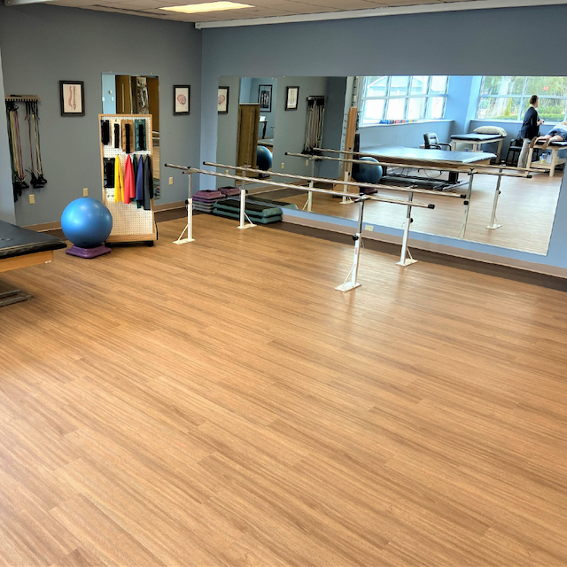 Mirrors Delivered Mirrors for Physical Therapy Centers