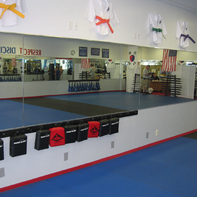 Mirrors Delivered Mirrors for Martial Arts