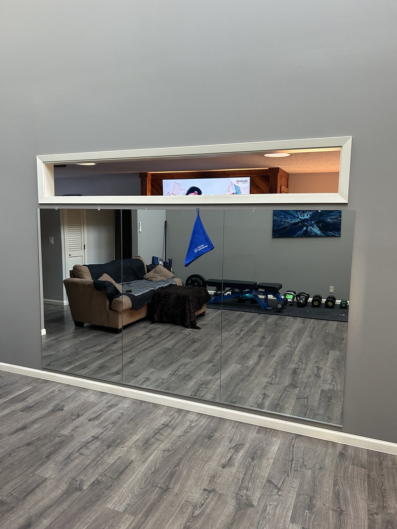 Inver Grove Heights Home Gym / Rec Room