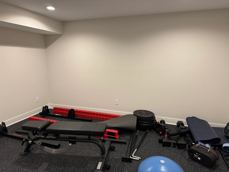 Excelsior Home Gym - Image 3