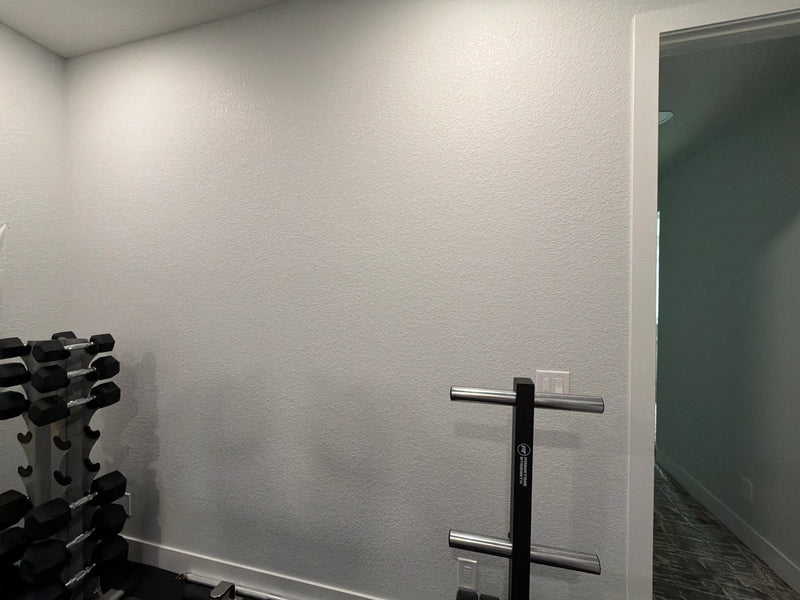 Aurora Home Gym - Image 2