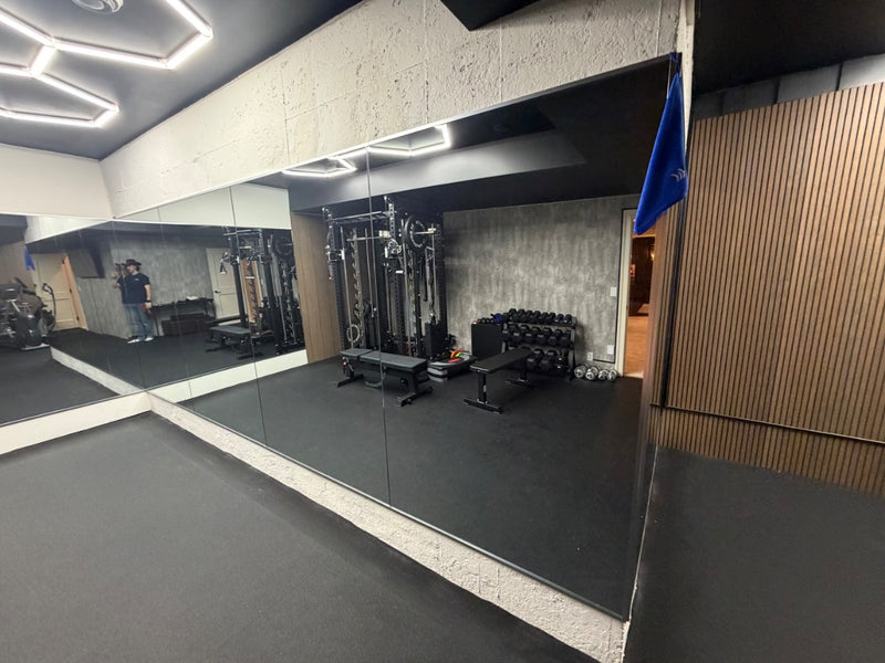 Wayzata Basement Home Gym Mirror Wrap